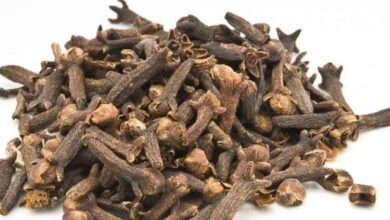 جلب الحبيب بالقرنفل تحت اللسان